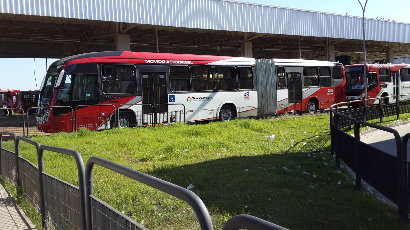 Perdi o ônibus interestadual: o que fazer, direitos e como remarcar (regra ANTT)
